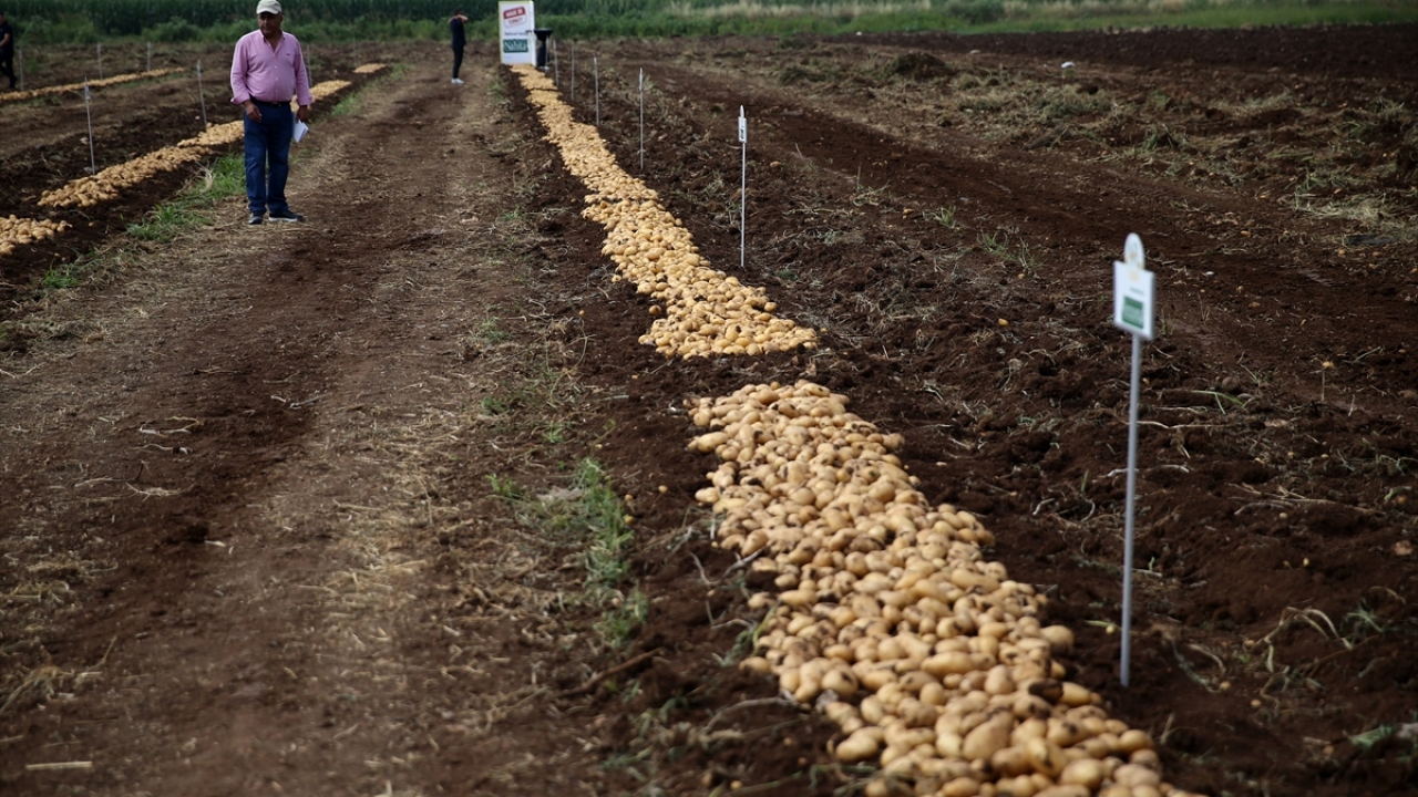 Adını Niğde`nin antik çağlardaki isminden alan "Nahita, patates üretiminde söz sahibi olan aralarında Hindistan, Polonya, Pakistan, İran ve Irak`ın da olduğu 15 ülkeden katılan tohumculuk firması uzmanlarına tanıtıldı.