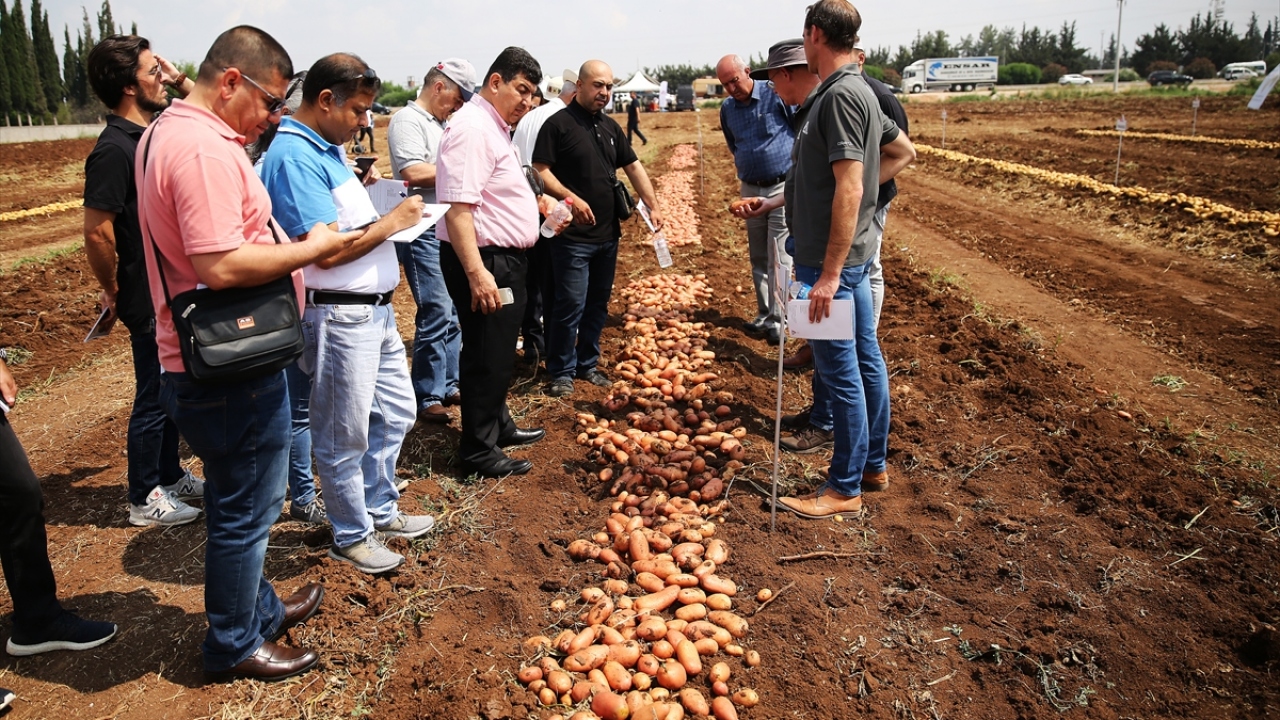 Niğde Patates Araştırma Enstitüsü Müdürü Uğur Pırlak, enstitülerinde 2005`ten beri yürüttükleri ıslah çalışması neticesinde 10 yerli patates cinsini ülke tarımına kazandırdıklarını, bunlardan 6`sının da kullanım hakkını özel sektöre devrettiklerini söyled