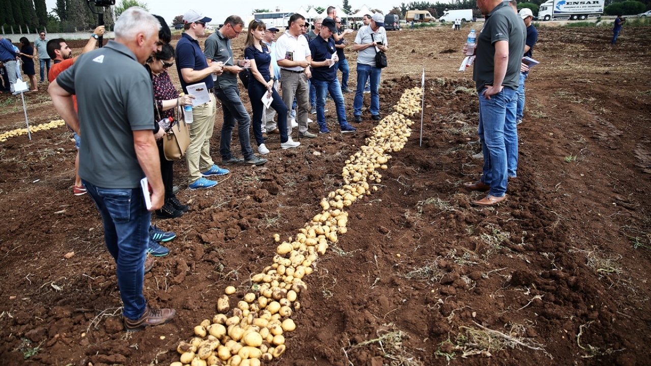 "Nahita"nın kullanım hakkını alan firmanın üst yöneticisi Suad Sadak da erkenci pazarlara hitap edebilmek için bu patatesi ürün çeşitleri arasına aldıklarını vurguladı.