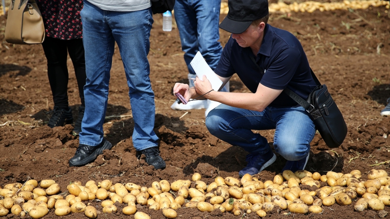 "Misafirlerimiz bu cinsi beğendi."