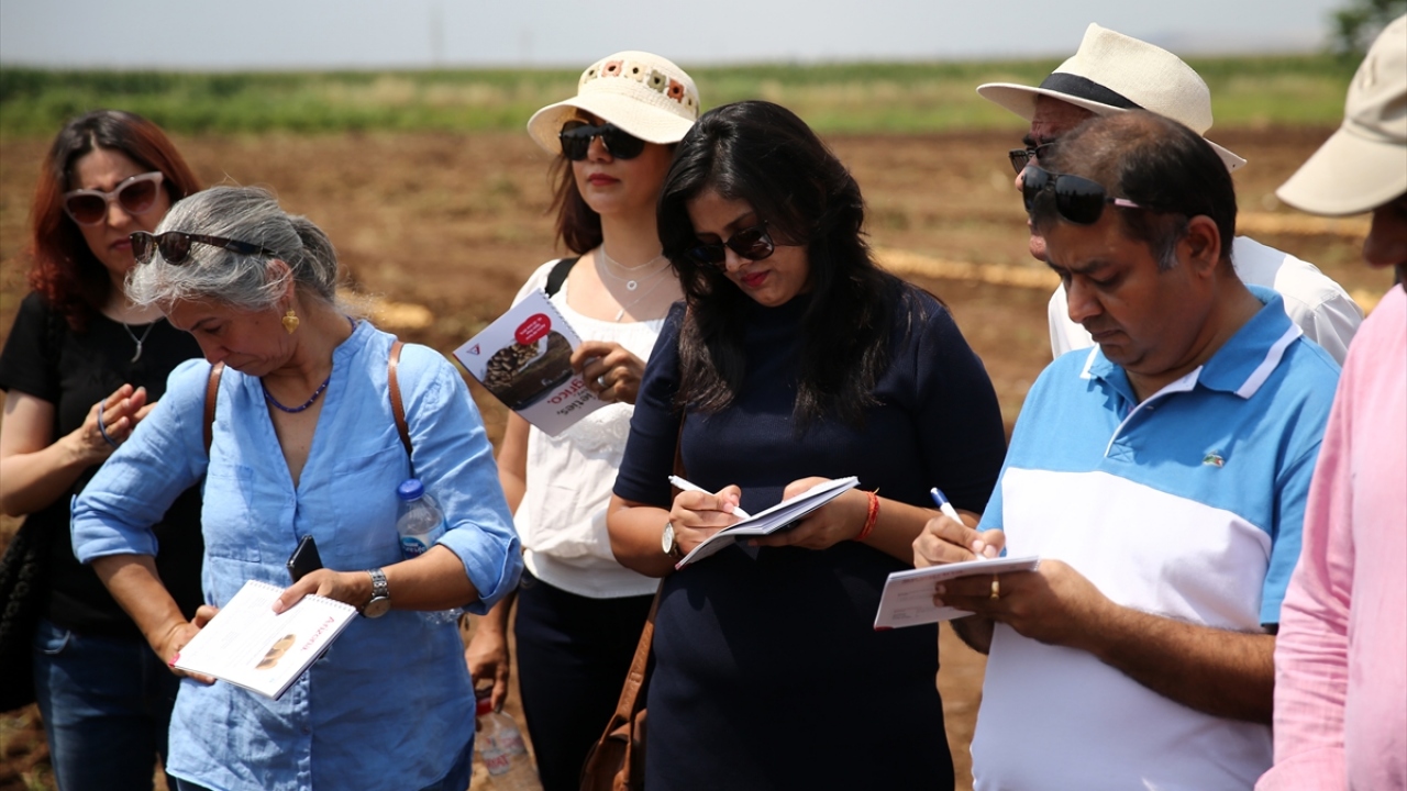 Tarımda iyi toprağın yanı sıra iyi bir çeşidin de olması gerektiğini ifade eden Hoogen, "Bu iki kombinasyonu da burada gördüğüm için şu anda tüm çeşitlerden çok memnunum. Nahita`yı çok beğendim." değerlendirmesinde bulundu.