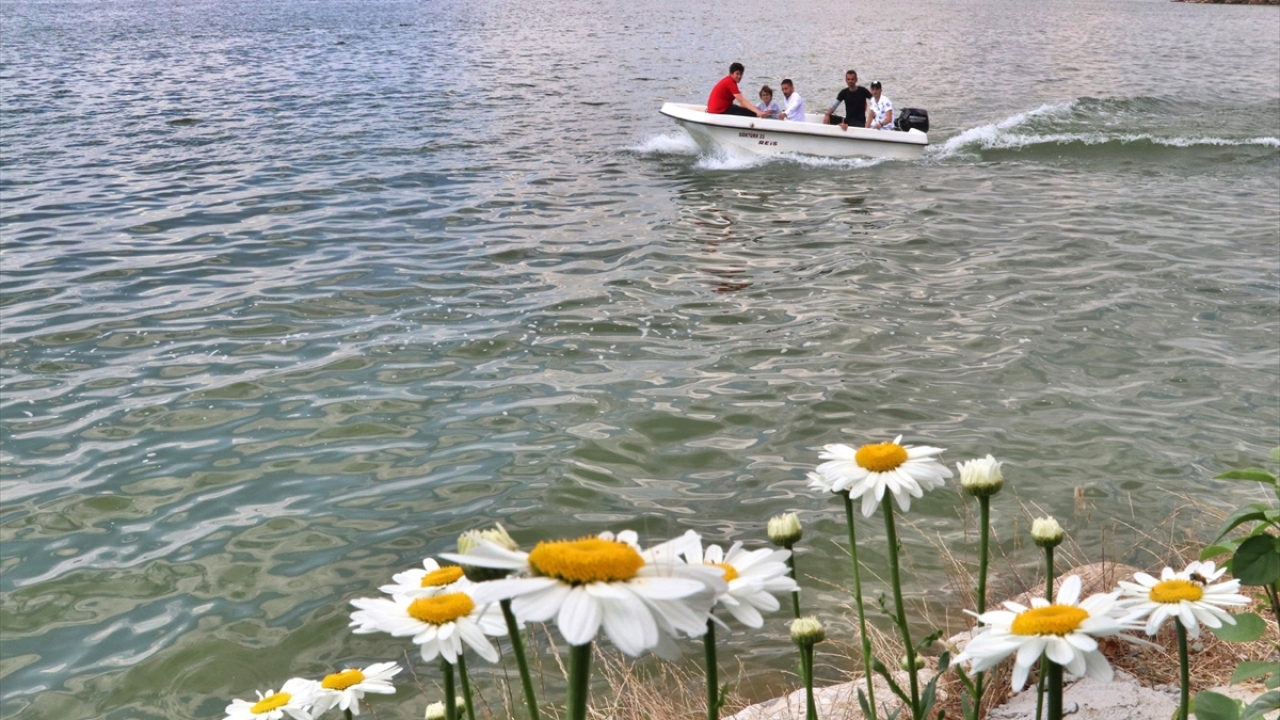 "Gerçekten çok harika bir yer."
