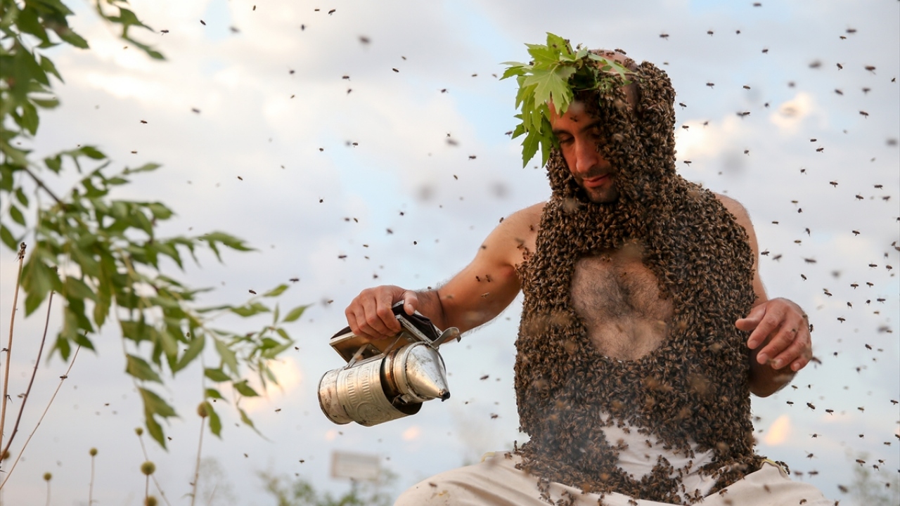 İlk olarak hazırladığı dumanla arıları sakinleştiren Semo, ardından da kovandan eliyle aldığı binlerce arıyı vücudunun üzerine bıraktı.