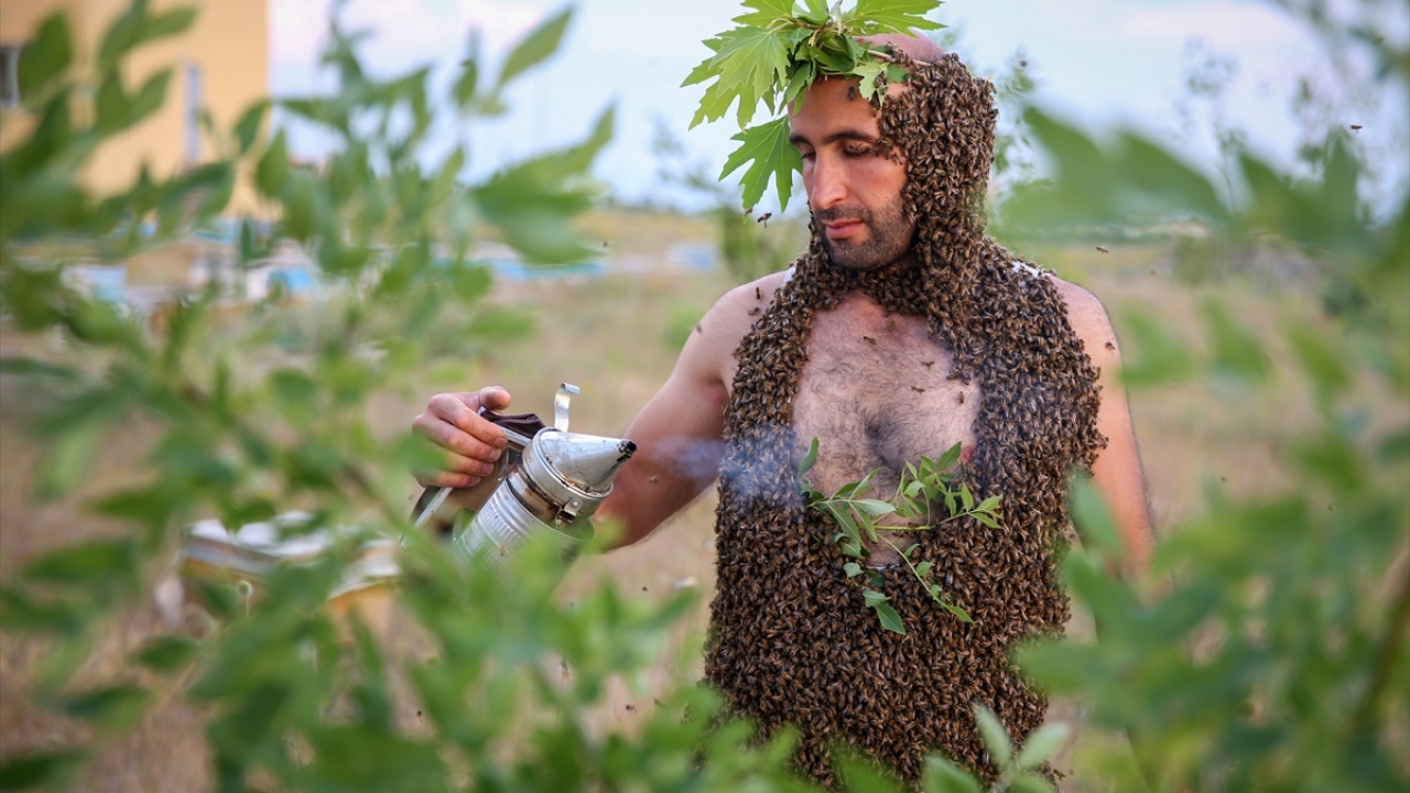 Yaklaşık 2 saatlik çalışmanın ardından bedeninin büyük bölümü arılarla kaplanan Semo, yaptığı açıklamada, bu rekoru tek başına kırmasının zor olduğunu, meslektaşlarının desteğine ihtiyaç duyduğunu söyledi. 