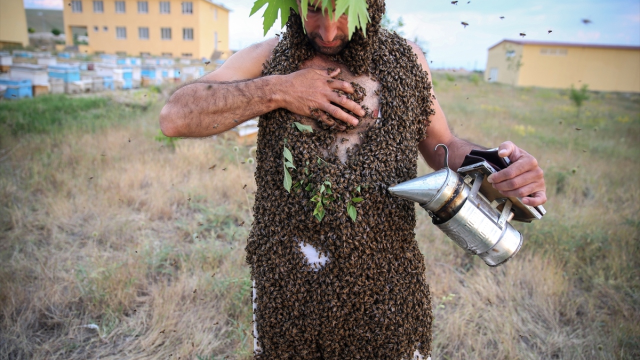"Yaklaşık 33 yıldır arıların içindeyim."