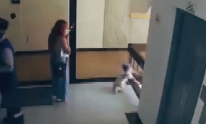 Annenin bebeğini kurtarma anı kamerada