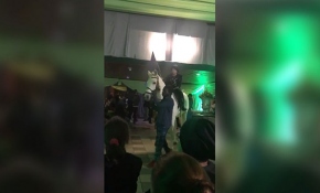 Güney Afrika'da bir düğünde Diriliş Ertuğrul rüzgarı esti