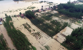 Samsun'da sağanak ev ve tarım arazilerini su altında bıraktı