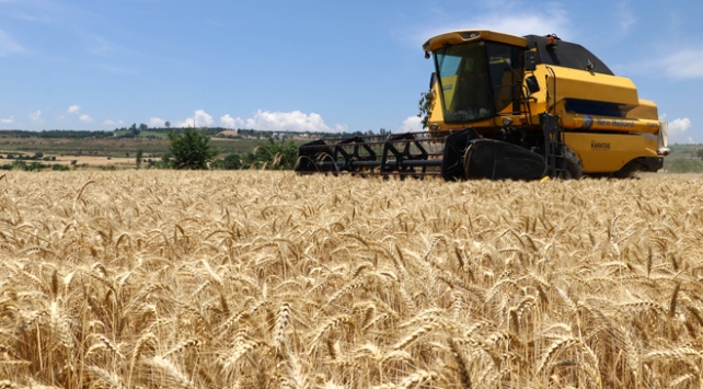 Tekirdağ'da biçerdöverler tarlalara girmeye başladı