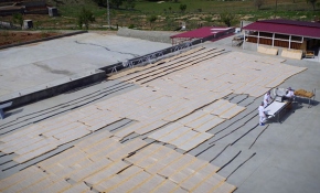 Kahramanmaraş tarhanasından yılda 1 milyon dolar gelir