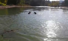 Serinlemek için ırmağa giren 16 yaşındaki çocuk boğuldu