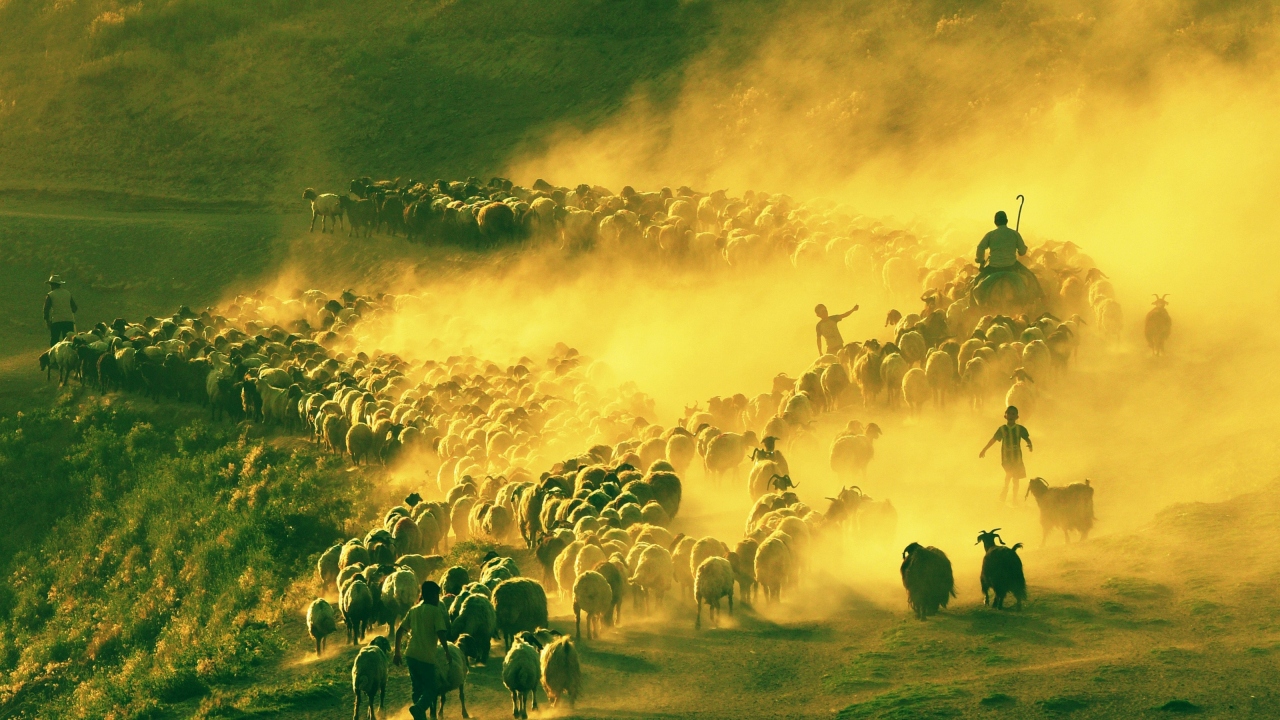 "Ekmeğimizin peşindeyiz."