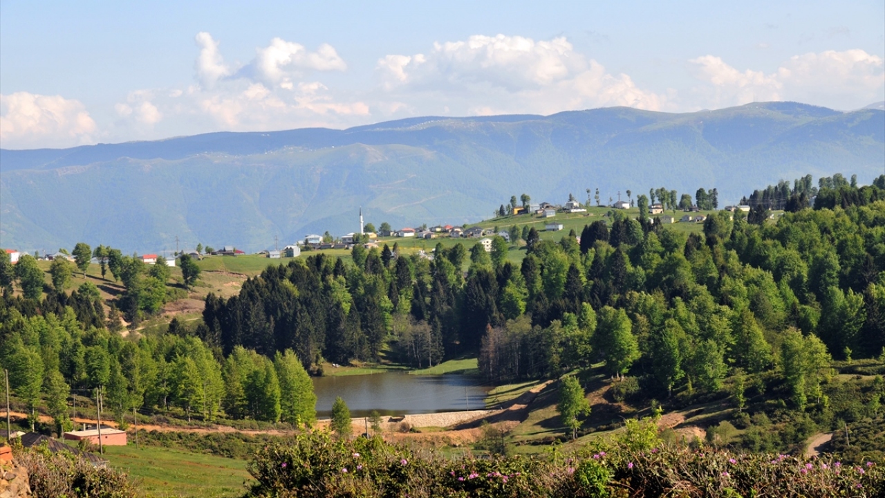 Trabzon`un Akçaabat ilçesinin Belediye Başkanı Osman Nuri Ekim, Hıdırnebi Yaylası`nın yaz ve kış aylarında yerli ve yabancı turistlerin uğrak noktalarından biri durumuna geldiğini ifade etti.
