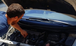 Otomobilin motoruna giren yavru kediyi kaporta ustası kurtardı