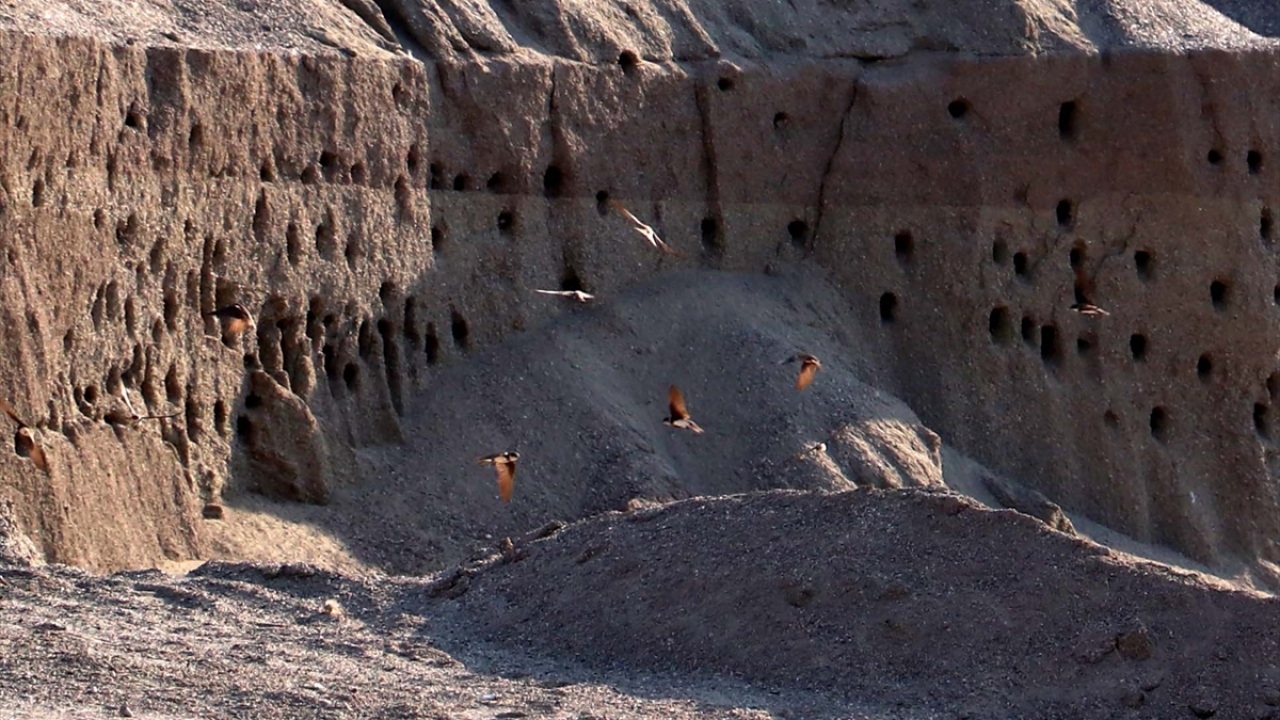 Firma yetkilileri, bunun üzerine beton yapımında kullanılacak kumun kullanımını erteledi.