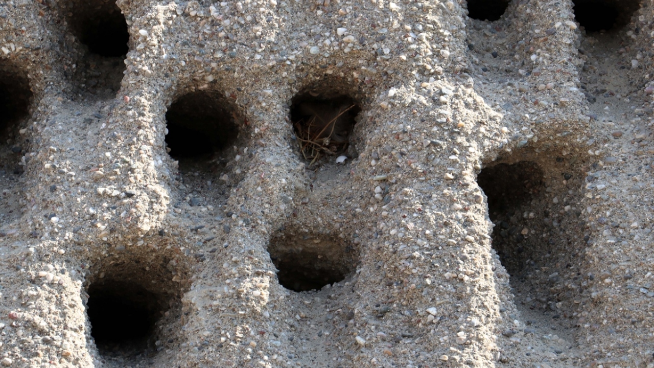 Bismil`de faaliyet gösteren bir beton firmasınca daha önce taşınan 5 bin ton kum yığınına kırlangıçların yuva yaptığını gören işçiler, durumu firma yetkililerine bildirdi.