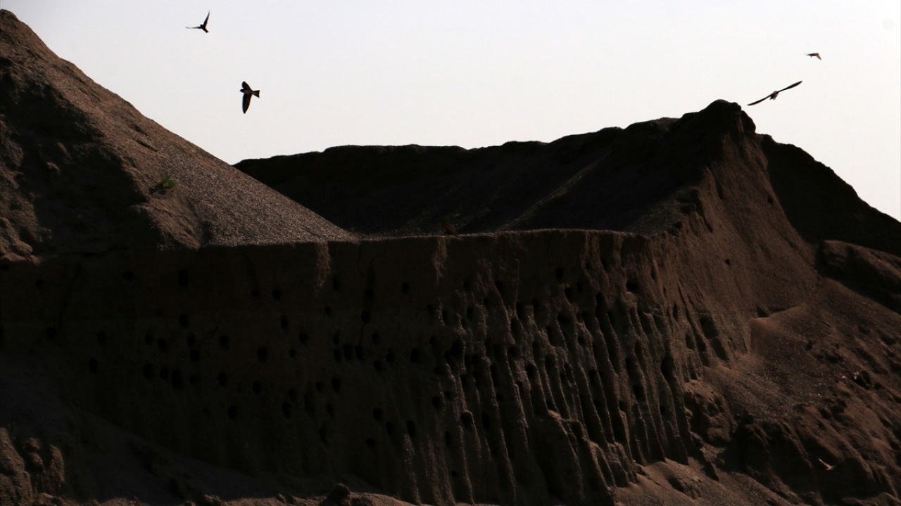 "Bir canlı için her şeye değer."