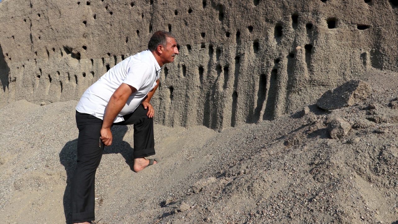 Kırlangıçların yavrularını da arada bir kontrol eden firma yetkilileri ve çalışanları, yuvadan zaman zaman düşen yavruları da zarar görmemeleri için tekrar yuvaya bırakıyor.