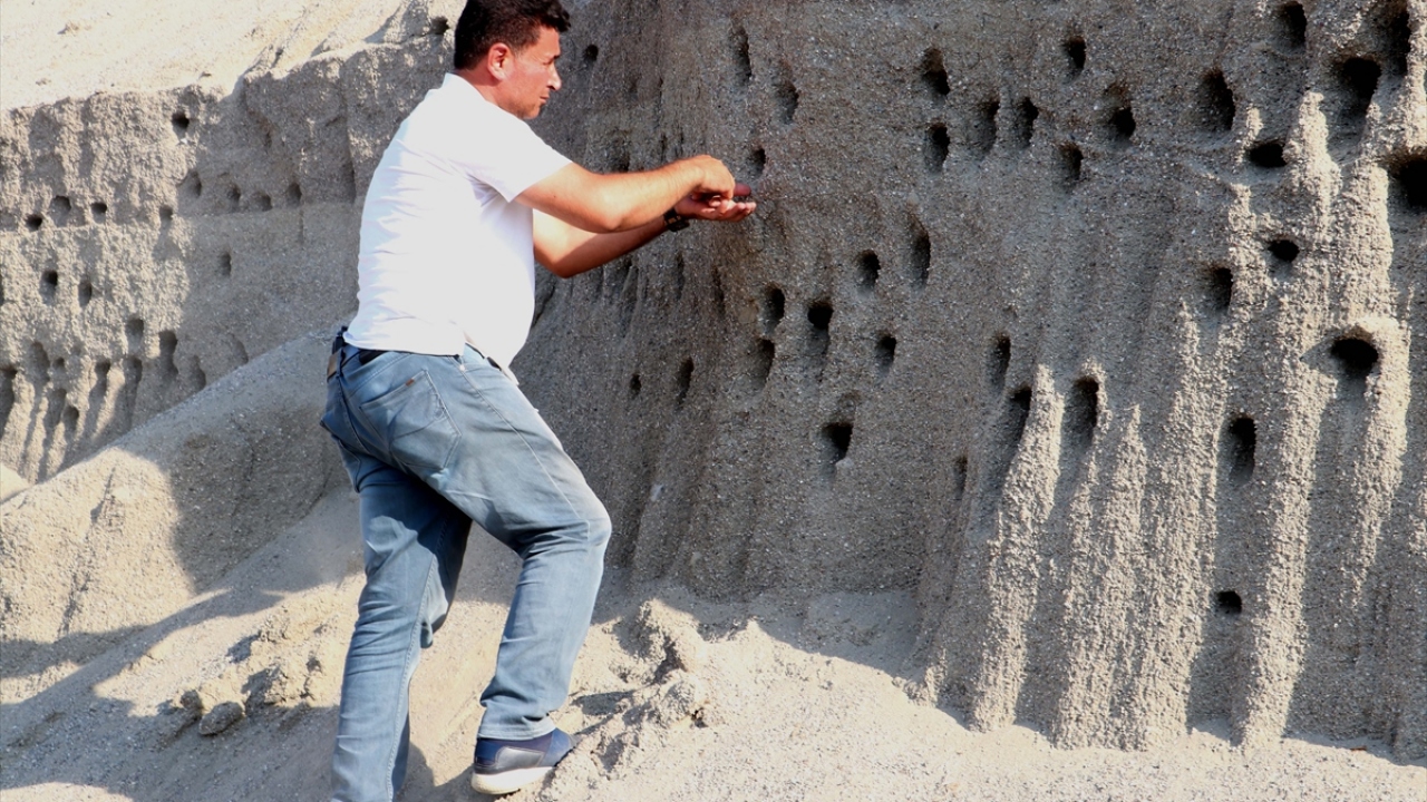 Başaran Grup Yönetim Kurulu üyesi Halil Başaran, yaptığı açıklamada, ramazan ayında işlerin yoğun olmadığı bir dönemde kırlangıçların bekletilen kumun üzerinde yuva yaptığını fark ettiklerini söyledi.
