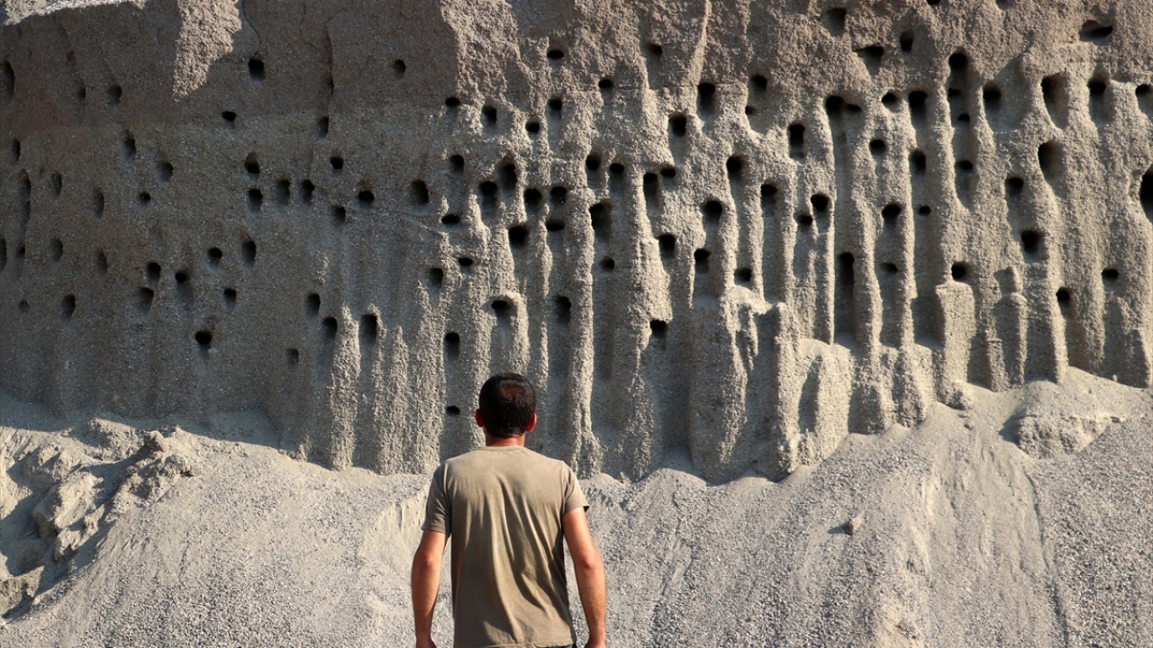 Zaman zaman yuvaları kontrol eden firma yetkilileri ve çalışanların yanı sıra meraklı vatandaşlar da yuvaları görmeye geliyor.