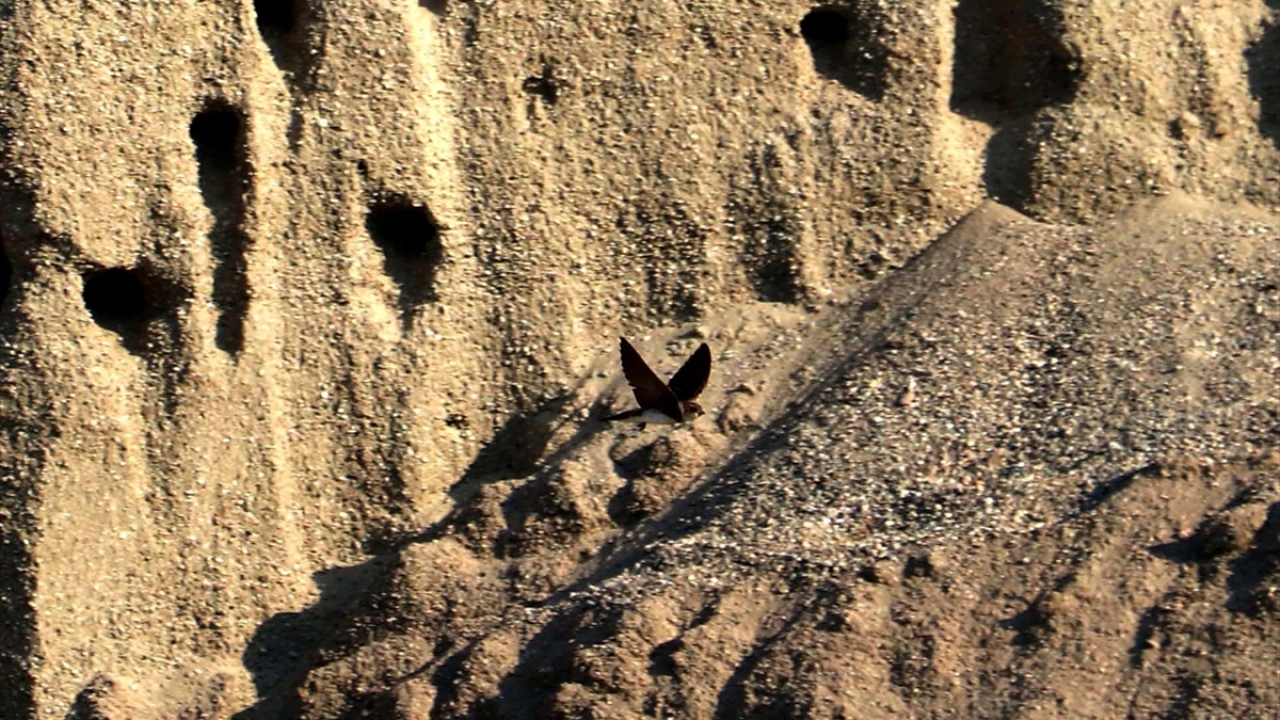 "Yaklaşımları çok değerli bir hareket."
