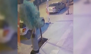 Kaldırımdaki ağacı sebepsiz yere kırdı