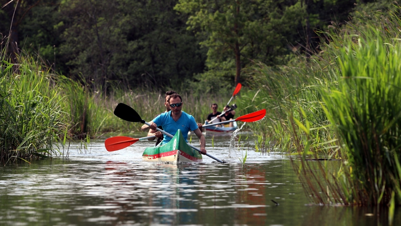 "Longoz eşsiz güzelliklere sahip"