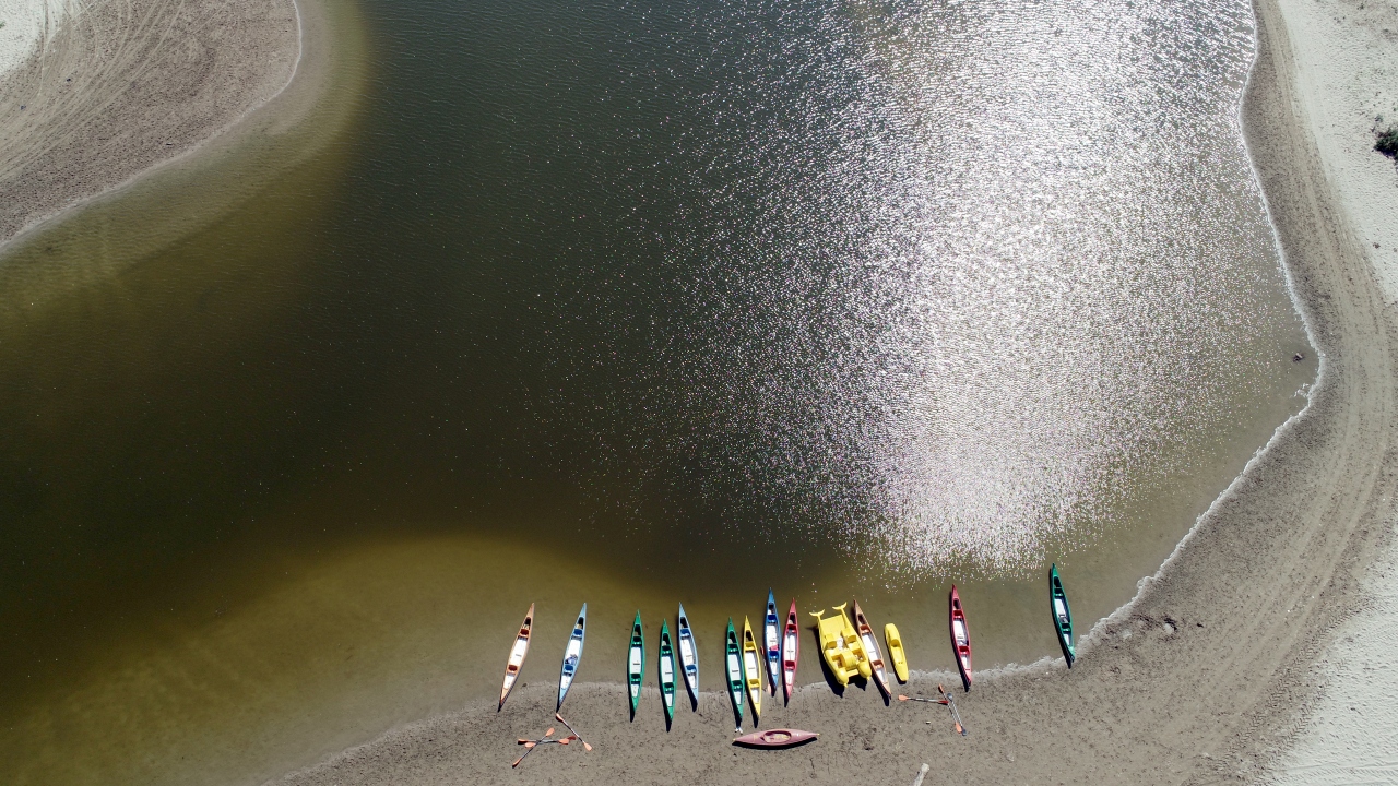 Temiz havası ve doğal ortamlarıyla insana huzur ve dinginlik veren yapıya sahip longozlar, içerisinde 544 çeşit bitki, 46 tür canlı, 25 cins sürüngen, 50 tür memeli, 30 çeşit tatlı su ve 20 tür deniz balığı, 219 kuş türü barındırıyor.