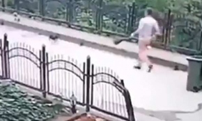 Belediye işçisi yavru köpeği dereye fırlattı