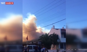İzmir'de orman yangını