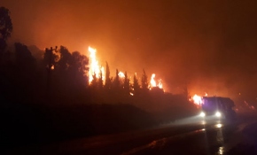 İzmir'de otluk alanda yangın