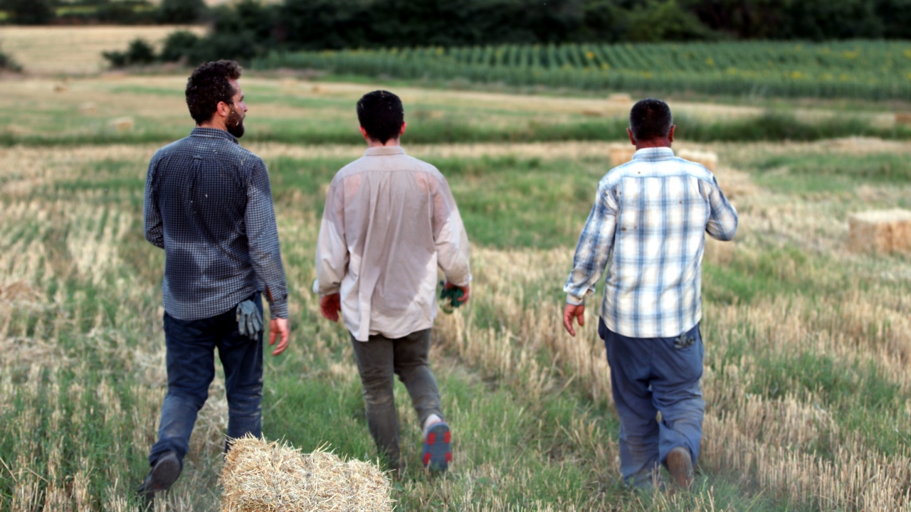 Türkiye`nin önemli tahıl üretim merkezlerinden Trakya`da, buğday tarlalarındaki hasat mesaisi, yerini saman balyası taşıma işine bıraktı.