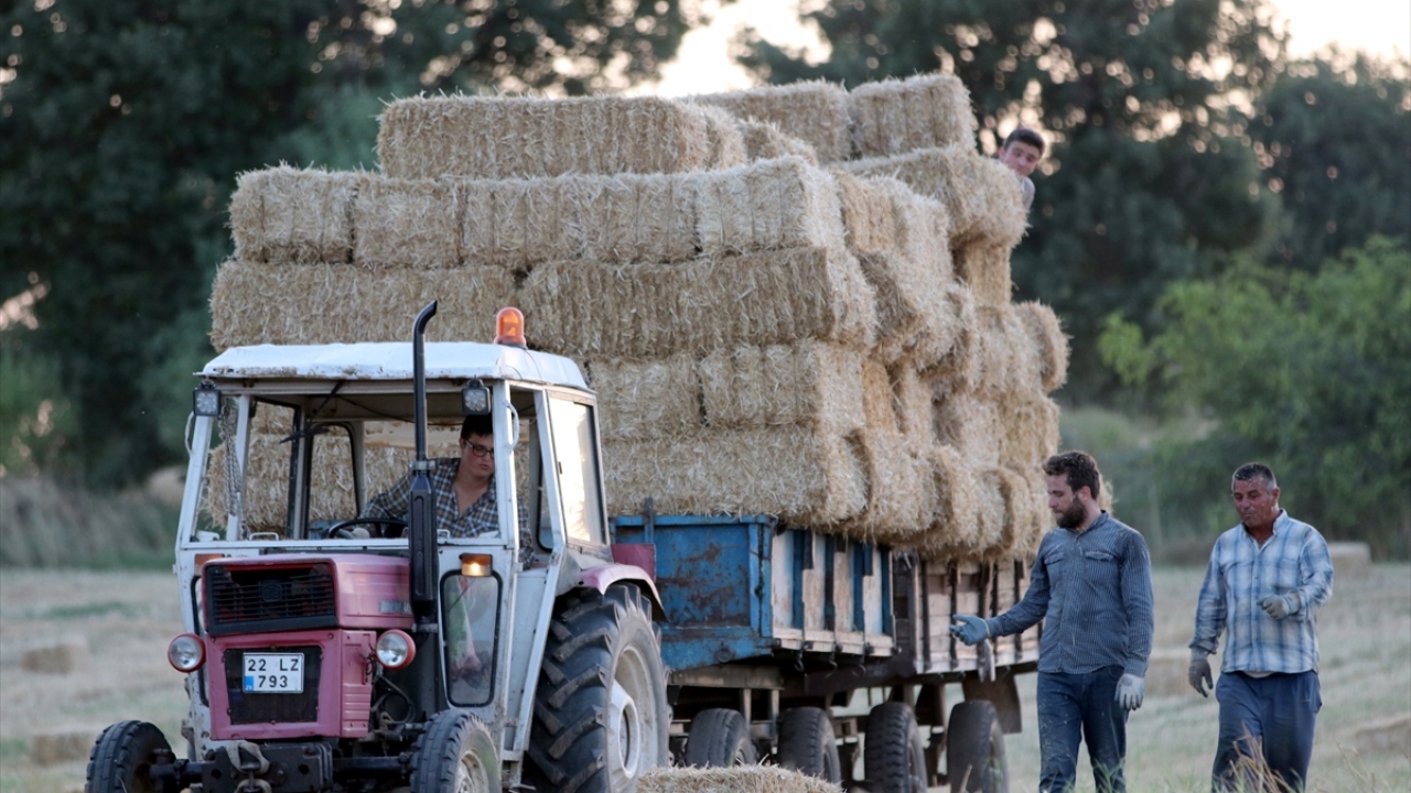 Balya işçileri, hem kaşındırmaması için kendilerini sap parçalarından hem de güneş çarpması ve sıcaktan korumaya çalışıyor.  İşçiler, balya başına 2 lira ücret alıyor.