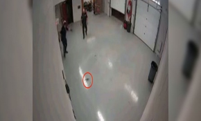 ABD'de garaja giren sincap polisleri korkuttu