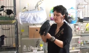 Evinde 200 hayvanıyla yaşıyor