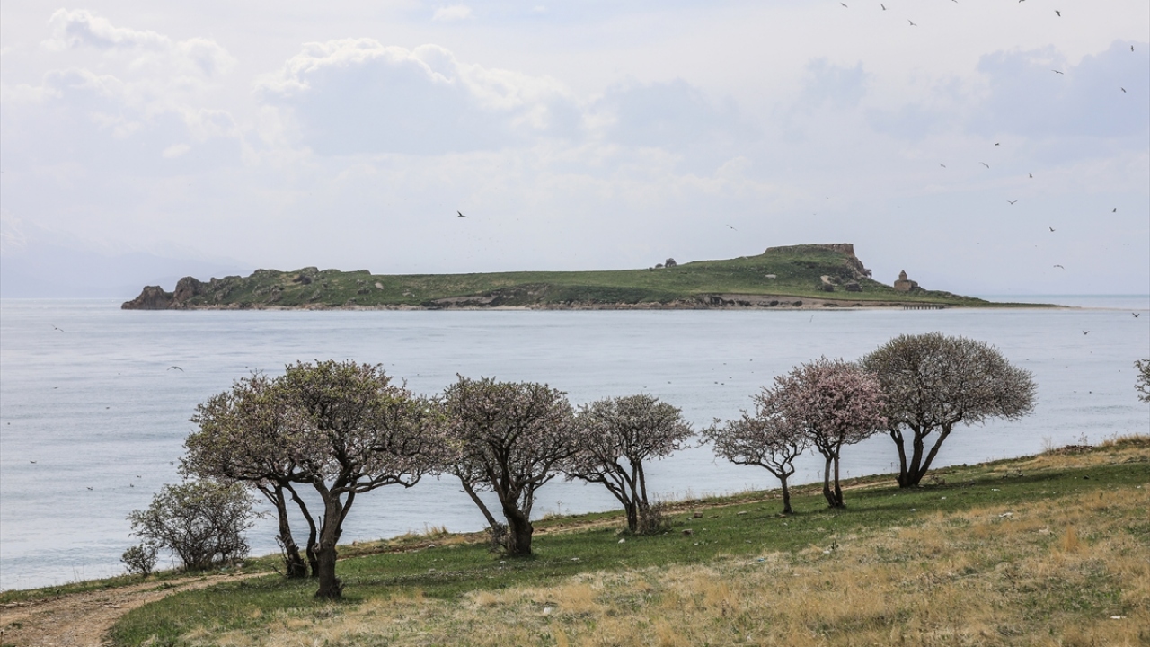 Adalarda tarihi yapıların tahribatının önlenmesinin yanı sıra kuş popülasyonunun artmasıyla, buraları daha fazla turistin ziyaret etmesi bekleniyor.