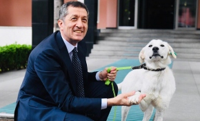 Bakan Selçuk'un sahiplendiği "Pergel" yeni yuvasında