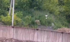 Cezaevine İHA ile cep telefonu sokmaya çalıştılar