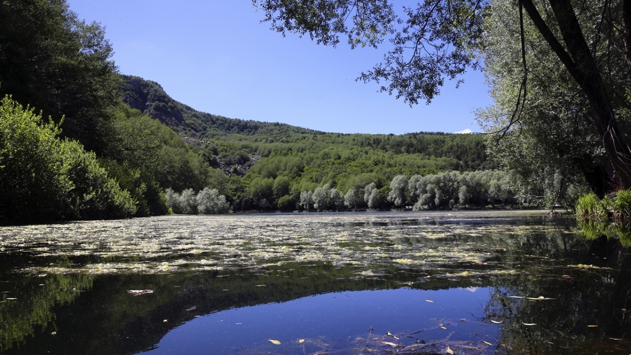 Su ve yeşilin buluştuğu park, doğa ile iç içe vakit geçirmek isteyenlerin uğrak yeri oldu.