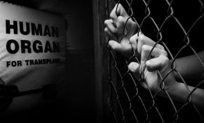 İnsanlık dışı bir pazar: Kaçak organ piyasası