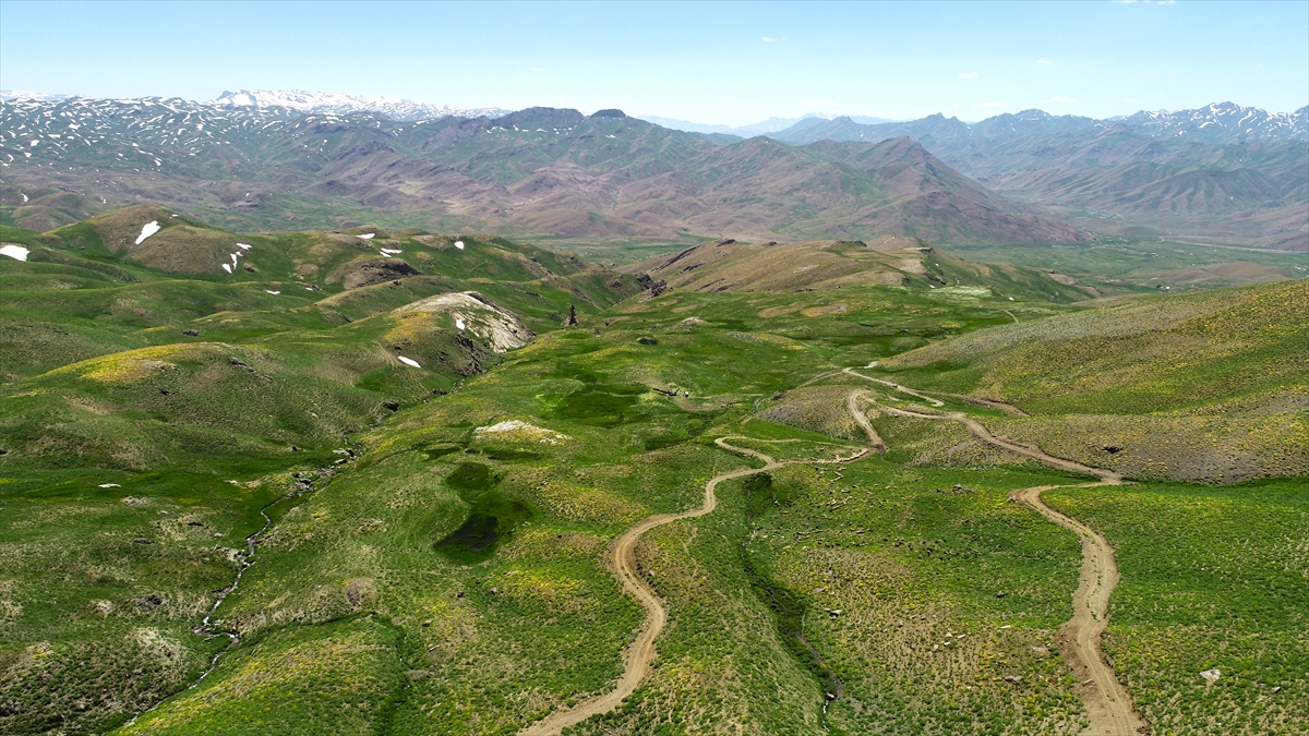 "Burada beklediklerinin fazlasını bulacaklar"