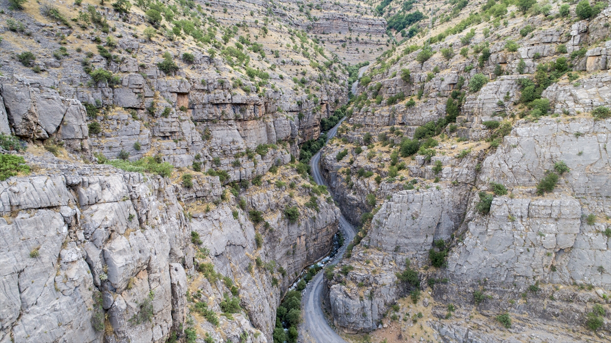 Yerli ve yabancı turistleri ilçeye davet ettiklerini ifade eden Aslan, "Gelsinler yaylalarımızı, doğal güzelliklerimizi, insanlarımızın misafirperverliğini görsünler." diye konuştu.