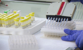 Kök hücre bağışındaki tek engel "ön yargılar"