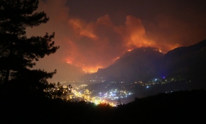 Muğla Dalaman'da orman yangını