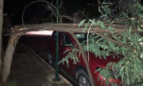 Balıkesir'de sağanak ve hortum