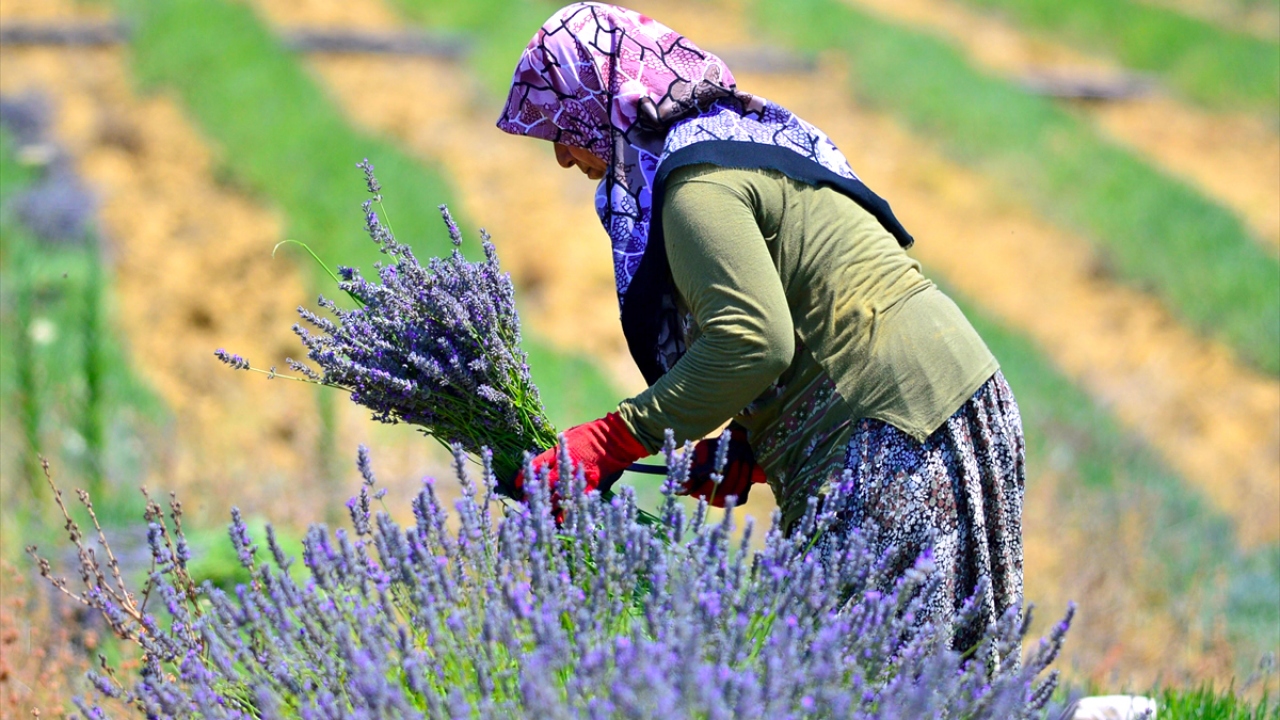 "Gökçeada farklı bir unvana daha kavuşuyor"