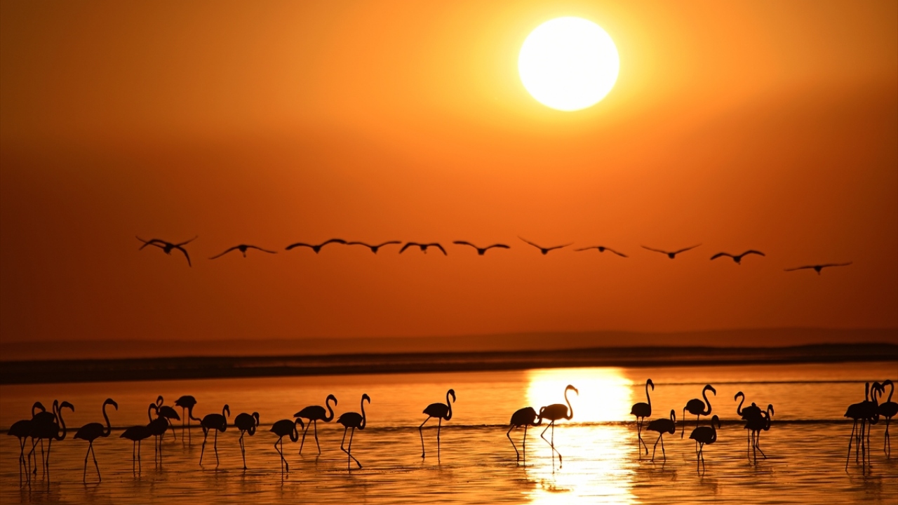 "Bu yıl yağışlar açısından iyi geçti"