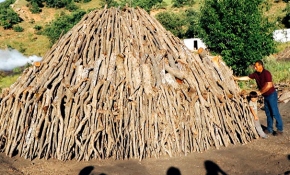 Erzincan'da mangal kömürü üreten işçilerin hikayesi