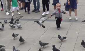 Düzce'de çocukların oyun arkadaşı güvercinler