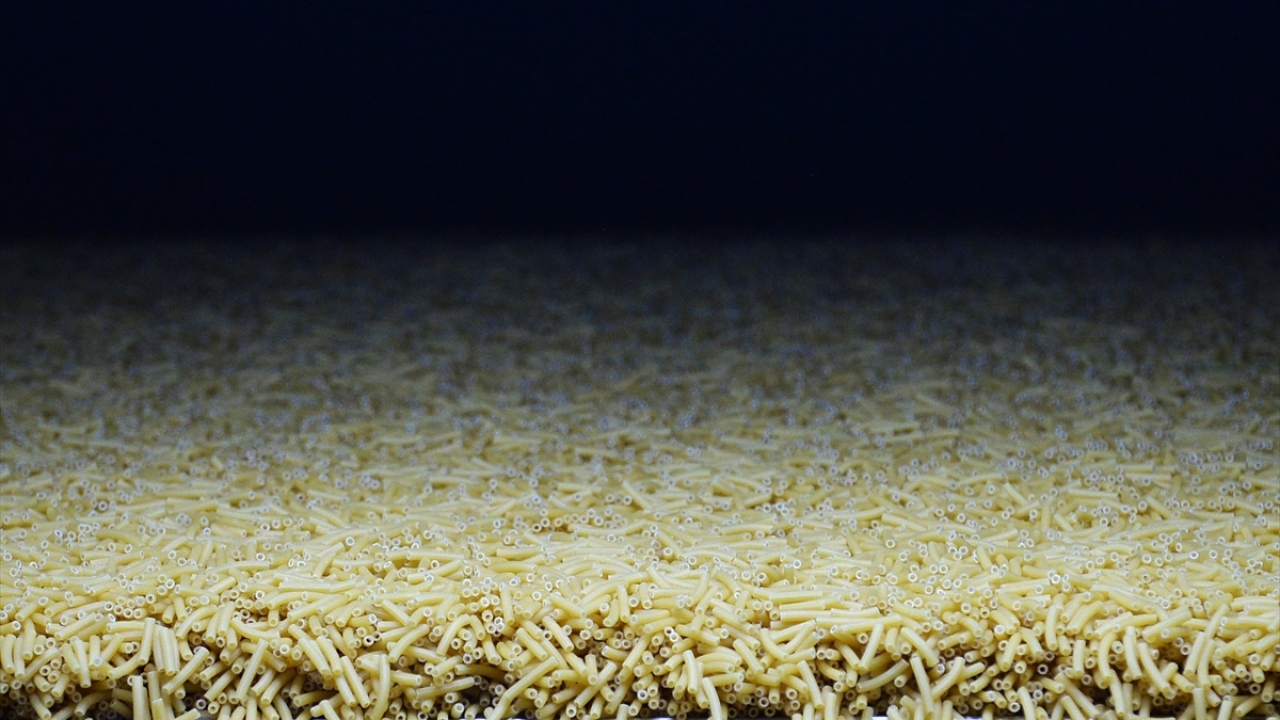 Türkiye, yılın ilk 5 ayında yüzde 9 artışla 251 milyon 852 bin 338 dolar dış satım geliri elde etti.